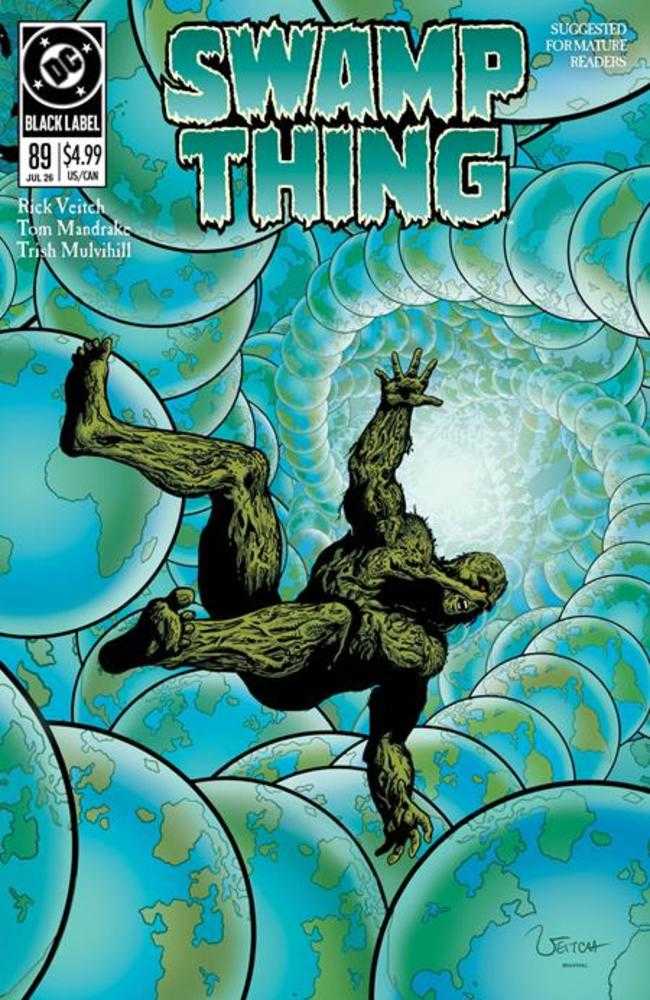 Comic book cover of 'Swamp Thing 1989 #2 (Of 4) Cover A Rick Veitch'