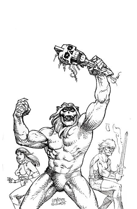 Thundarr The Barbarian #4 Cover N 1 in 10 Joseph Michael Linsner Line Art Full Art Variant