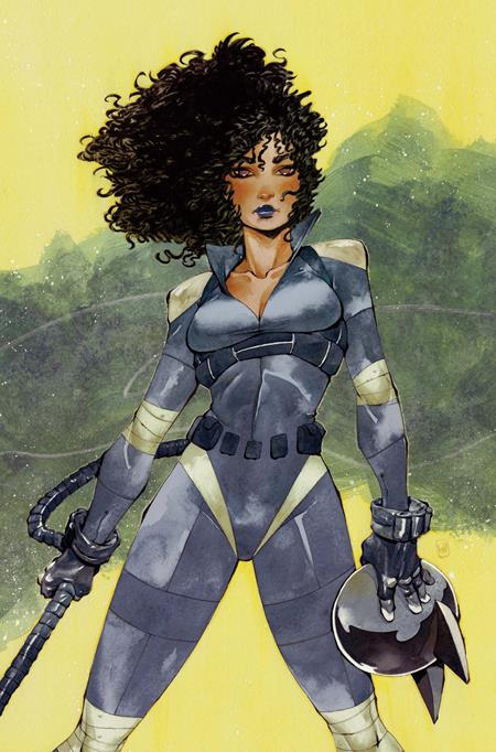 Absolute Catwoman #3 Cover D Chuma Hill