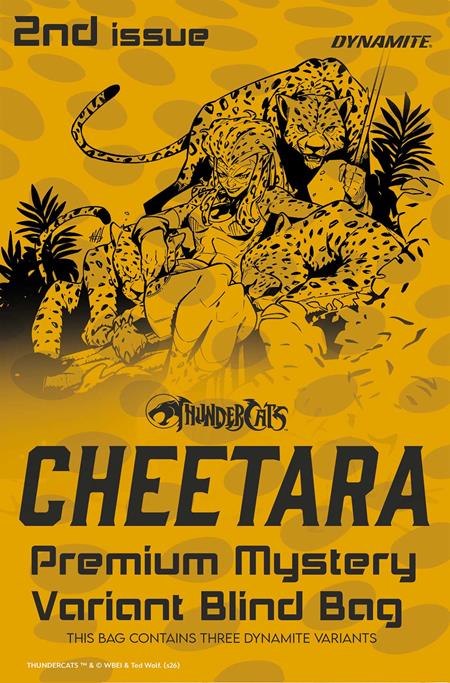 Thundercats: Cheetara #2 Cover H Premium Mystery Blind Bag