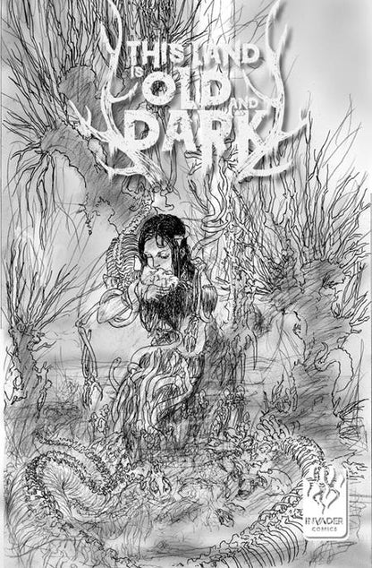 This Land is Old and Dark #2 Cover C Michael Kaluta