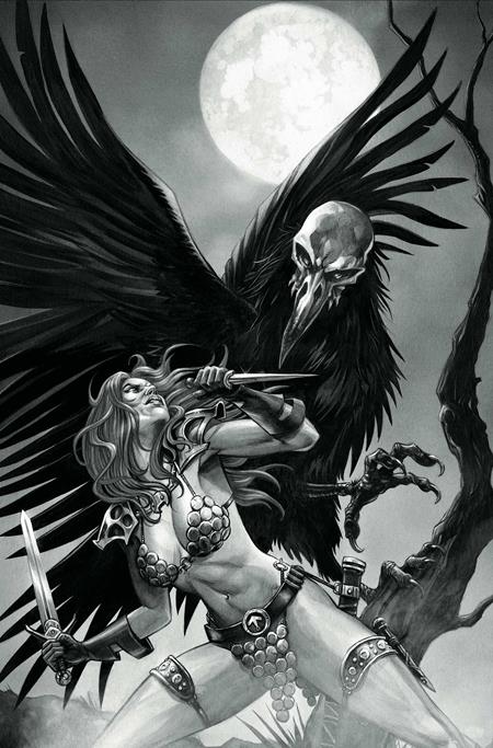 Red Sonja: She-Devil With A Sword #7 Cover N 1:7 Mike Rooth B&W Virgin