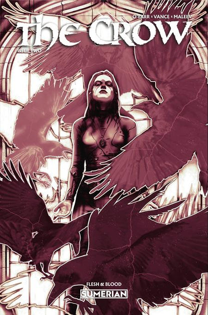 The Crow: Flesh and Blood #2 Cover A Lucas Peverill