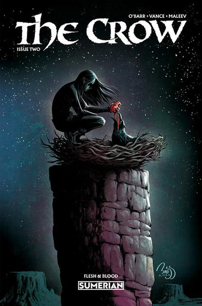 The Crow: Flesh and Blood #2 Cover B Daniel Bayliss