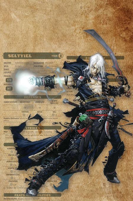 Pathfinder / Vampirella: Blade Of Darkness #3 Cover G 1:15 Wayne Reynolds Character Sheet Virgin
