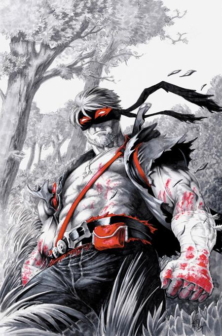Final Boss #12 Cover D 1:25 Brad Ashworth