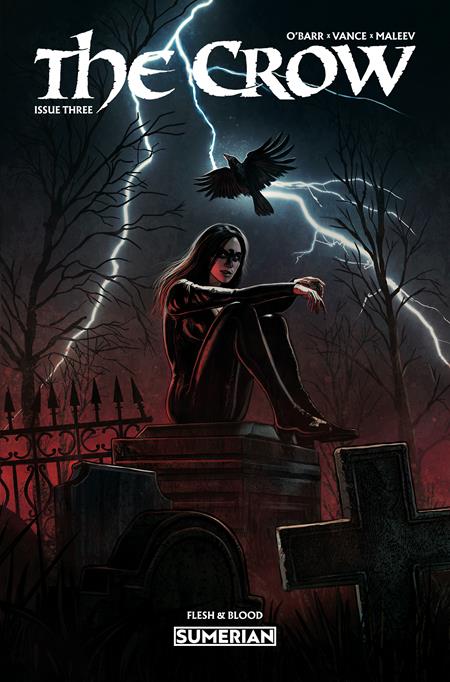 The Crow: Flesh & Blood #3 Cover A Eduardo Schaal