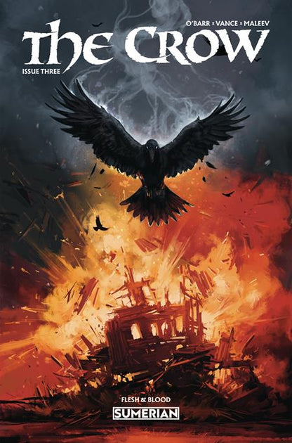 The Crow: Flesh & Blood #3 Cover C Ninja Jo