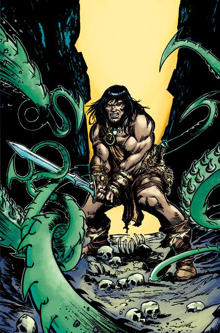 The Cimmerian: A Witch Shall Be Born #3 (Of 3) Cover D 1:25 Jay Virgin