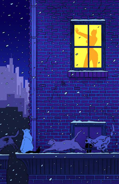 Catwoman #95 Cover D Chloe Brailsford Card Stock