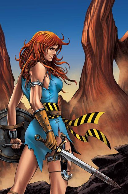 Red Sonja: She-Devil With A Sword #9 Cover I 1:10 Mike Rooth Virgin