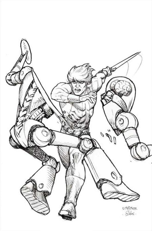 Thundarr The Barbarian #2 Cover N 1 in 10 Joseph Michael Linsner Line Art Full Art Variant PRESALE 3/4