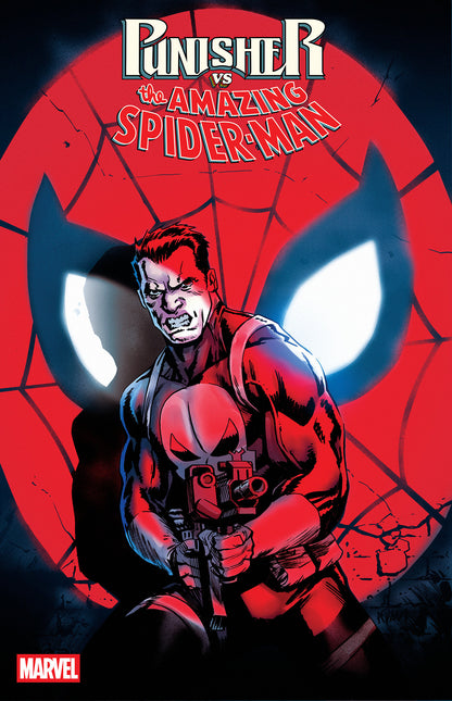 PUNISHER VS. SPIDER-MAN #4 Cover C Adam Gorham