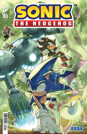 Sonic the Hedgehog #80 Cover A (Hammerstrom) PRESALE 7/30
