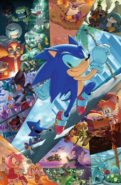 Sonic The Hedgehog #91 Cover G 1:25 Aaron Hammerstrom