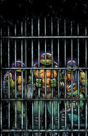 Teenage Mutant Ninja Turtles #11 Variant RI (10) (Eastman Full Art) INCENTIVE [1:10]