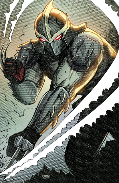 Teenage Mutant Ninja Turtles: Shredder #15 Cover D 1:10 Nathan Szerdy