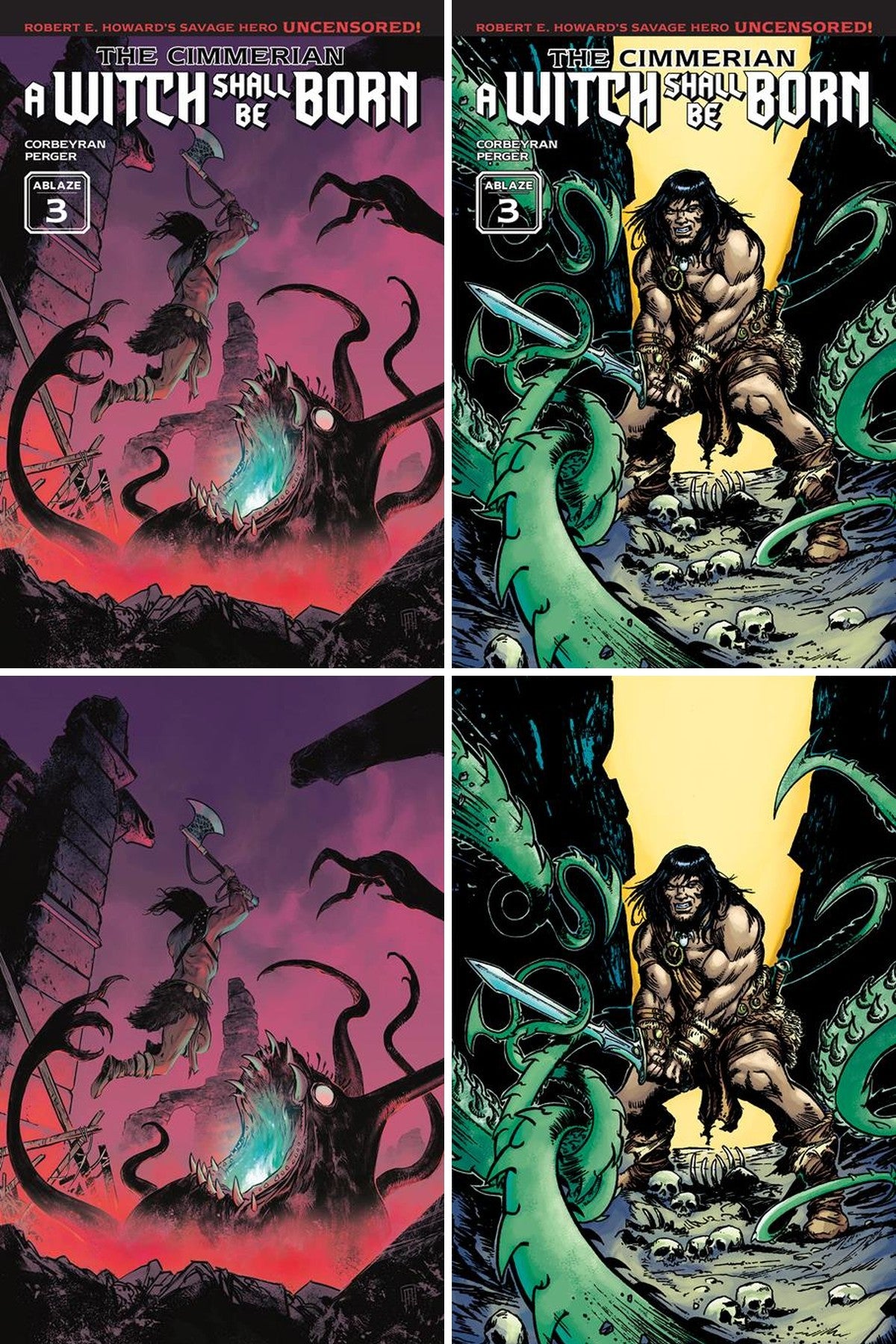 The Cimmerian: A Witch Shall Be Born #3 (Of 3) cover collage