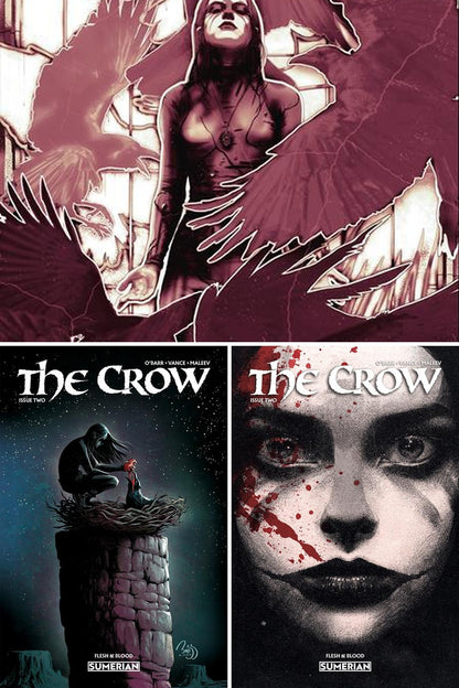 The Crow: Flesh and Blood #2 cover collage