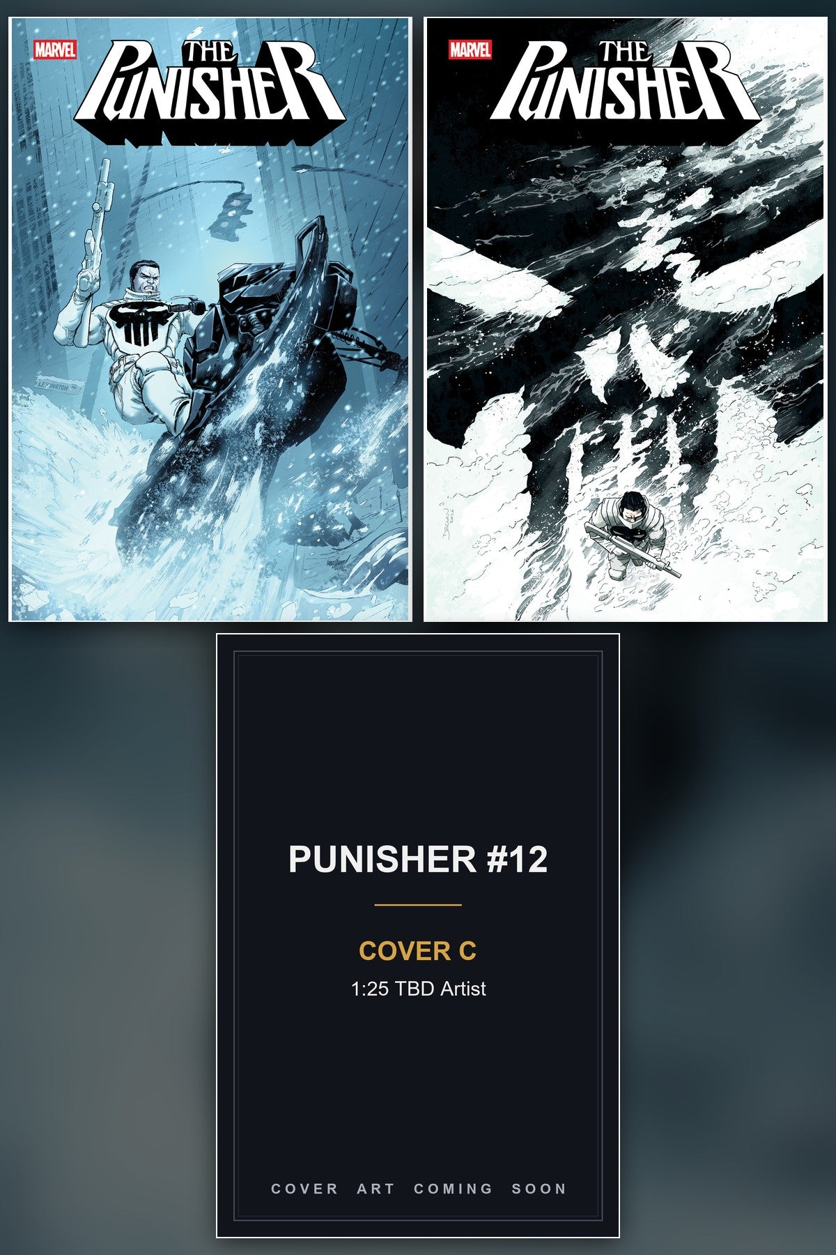 Punisher #12 cover collage - Cover C art coming soon