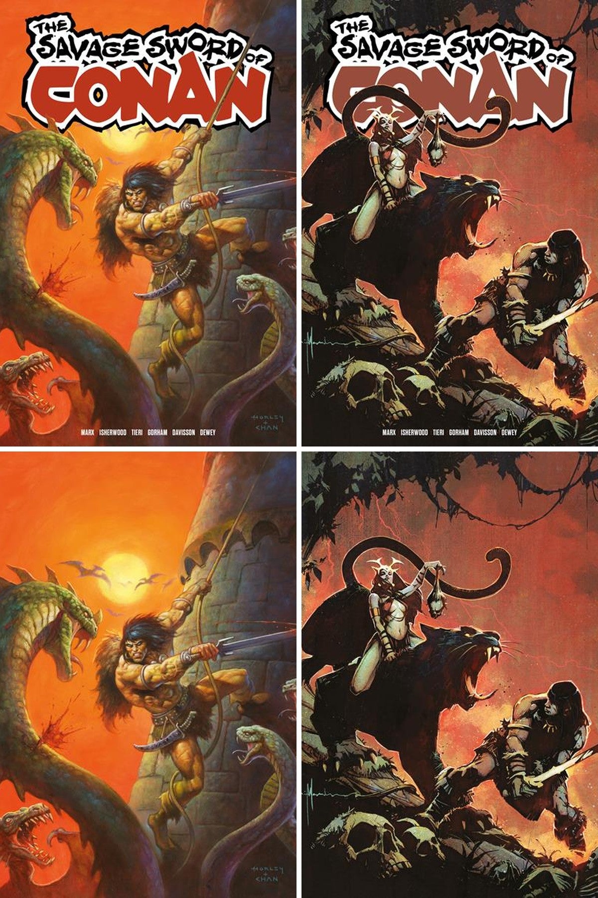Savage Sword Of Conan #17 cover collage