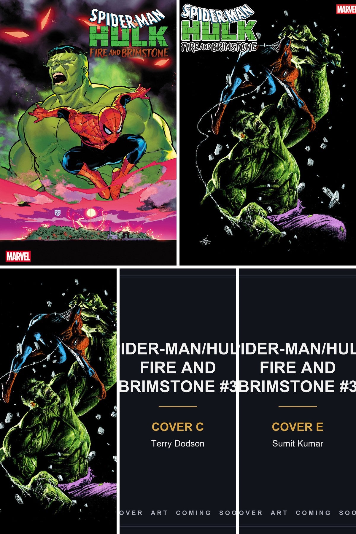 SPIDER-MAN/HULK: FIRE AND BRIMSTONE #3 cover collage - Covers C & E art coming soon