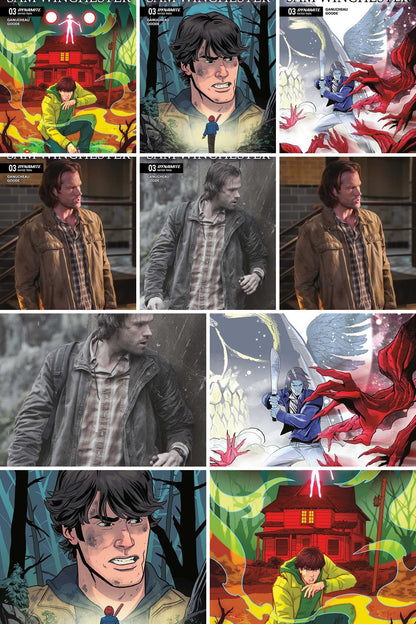 Supernatural: Sam Winchester #3 cover collage
