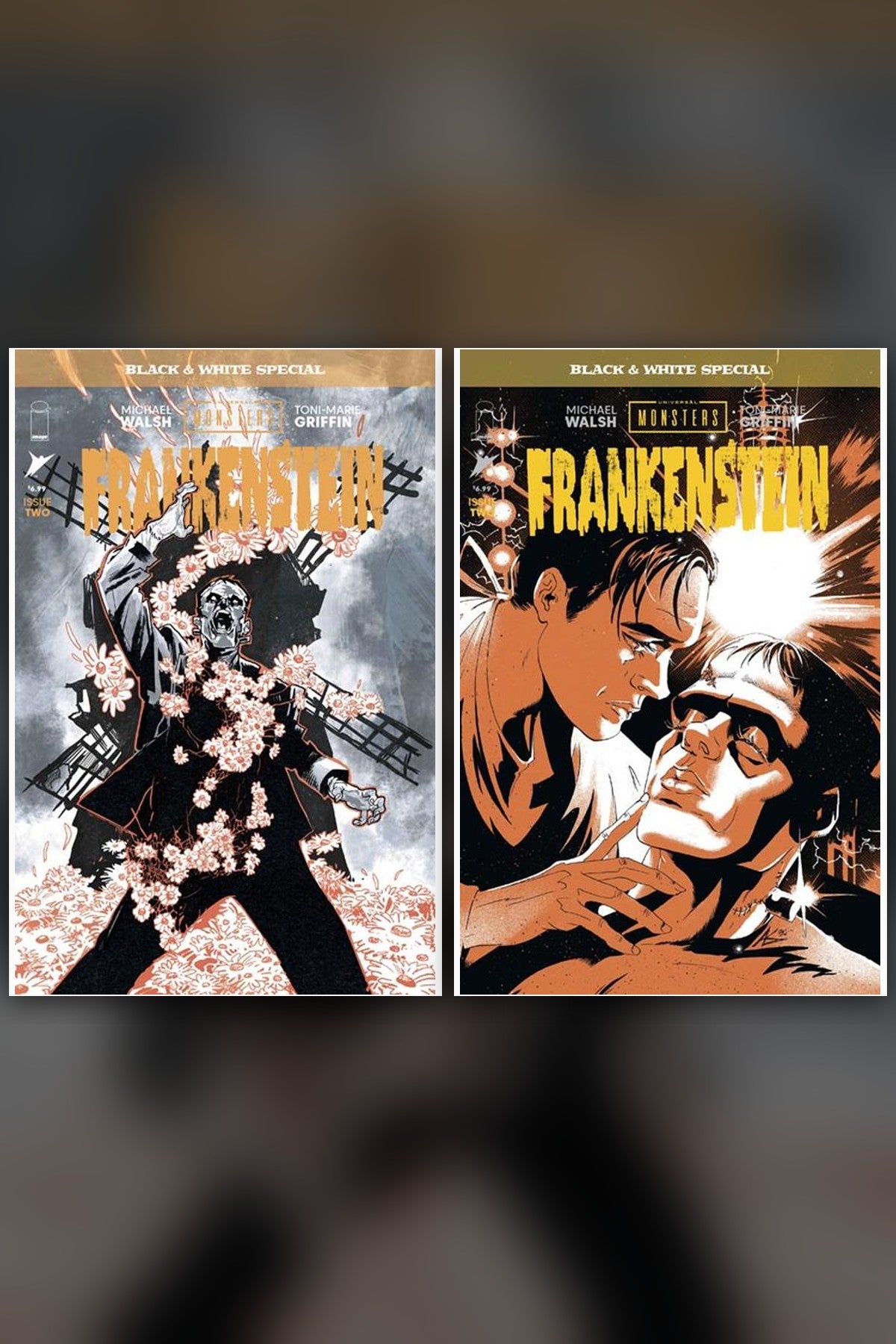 Universal Monsters Frankenstein B&W Special #2 (Of 2) cover collage