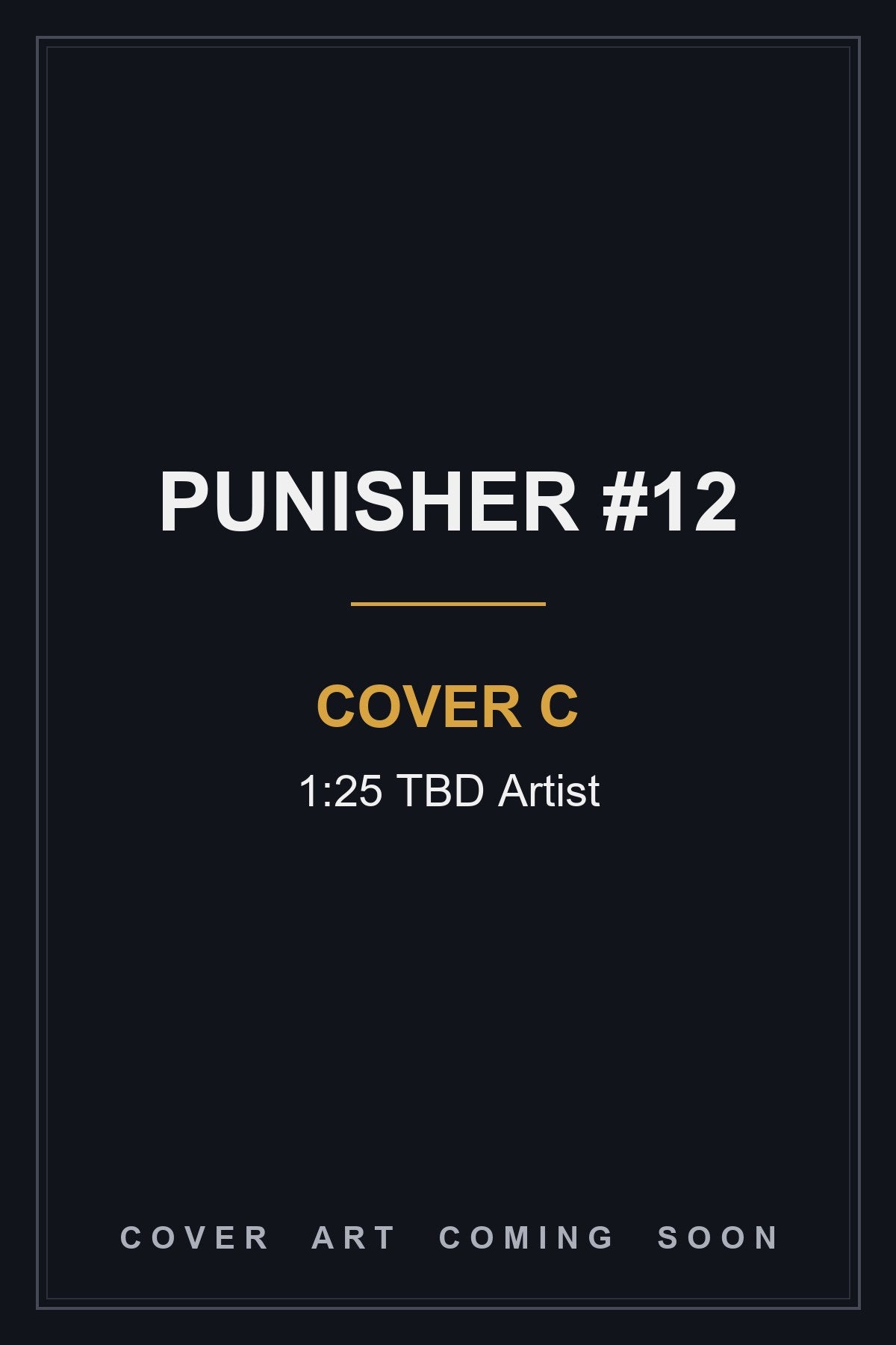 Punisher #12 Cover C 1:25 TBD Artist - cover art coming soon