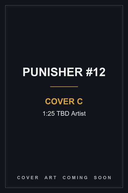 Punisher #12 Cover C 1:25 TBD Artist - cover art coming soon
