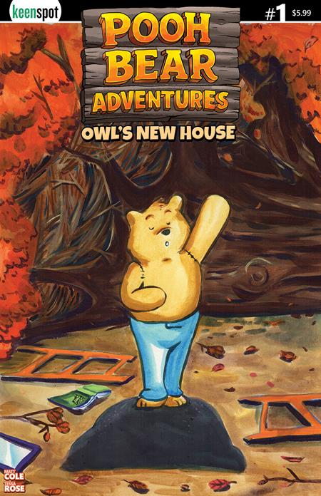 Pooh Bear Adventures Owls New House #1 Cover B