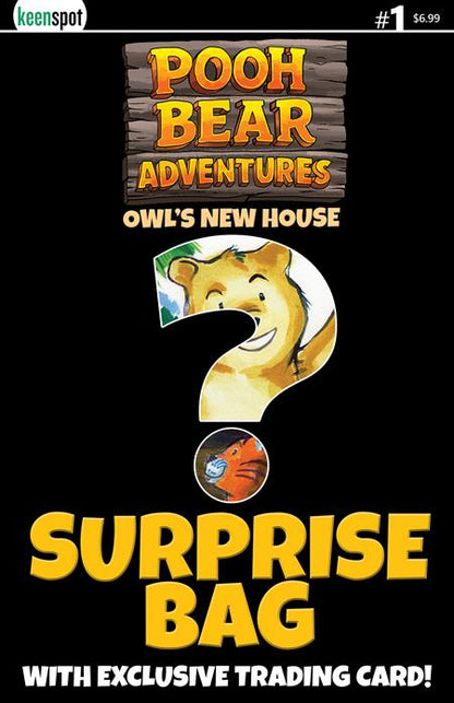 Pooh Bear Adventures Owls New House #1 Cover D