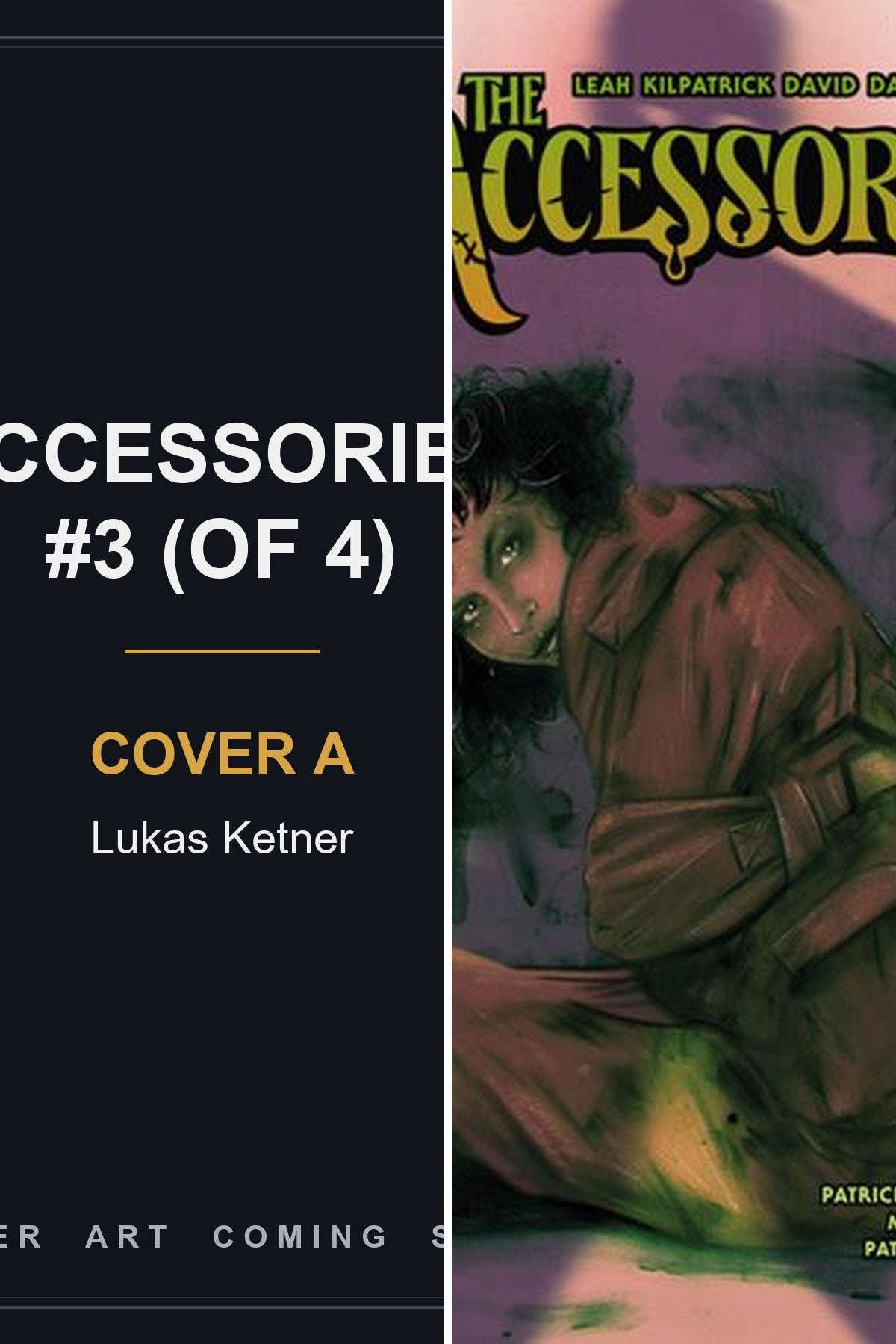 Accessories #3 all covers