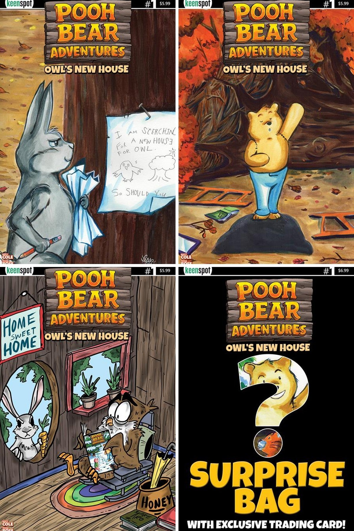 Pooh Bear Adventures Owls New House #1 all covers